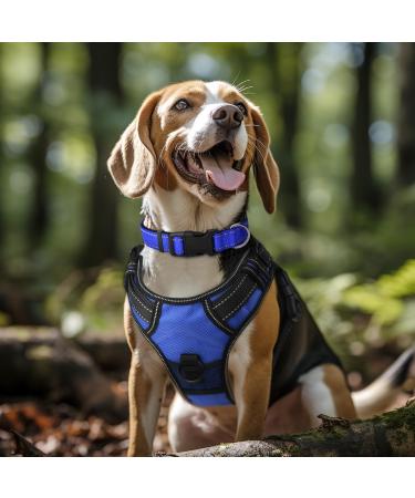 Buy Joytale Reflective Dog Collar for Small Dogs - Royal Blue (Pack of 1) | International Shipping Available - Buy Online on GoSupps.com