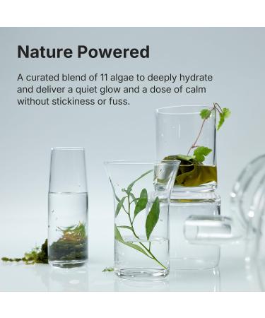 Coeternal Instant Glow Mist Hydrating Lightweight Korean Face Mist with Algae 11 Niacinamide and Turmeric root Moisturizing Spray for Dewy Glass Skin For Dry or Sensitive Skin 120ml / 4.0 fl.oz. - Buy Online on GoSupps.com