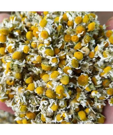 Chamomile Camomile Anthemis Nobilis Bulk Chamomile Tea Chamomile chamomile Tea Bags chamomile Tea Bags Bulk Chamomile Flower Loose Dried Chamomile Tea Chamomile Flowers (16 oz) - Buy Online on GoSupps.com