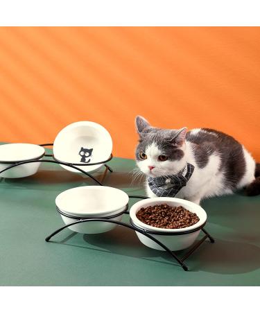 Elevated Ceramic Cat Bowls Set | 12oz Dishwasher Safe | 2 Paw Pattern Bowls with Stand - Buy Online on GoSupps.com