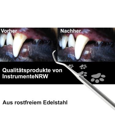 Stainless Steel Dog Denture Remover & Tartar Scraper | Effective Pet Dental Care Tool - Buy Online on GoSupps.com