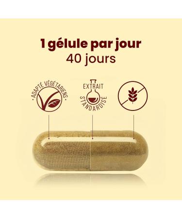 Propolis Capsules 12% Flavonoids | Reinforced Formula With Reishi Echinacea Agaricus | Enriched with Copper Iron Vitamin C and D | 40 Api-Nature Capsules - Buy Online on GoSupps.com