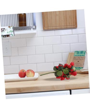 Zerodeko Simulation Blueberry Faux Strawberries Household Decor Fake Fruit Photo Props Decor for Home Faux Strawberry Christmas Decor Strawberry Lantern Foam Red Artificial Model Red 29.00X12.00X5.00CM - Buy Online on GoSupps.com