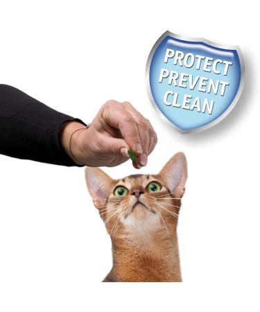 Beaphar Dental Easy Treats For Cats 35 g (Pack of 6) 35 g (Pack of 6) Cats - Buy Online on GoSupps.com