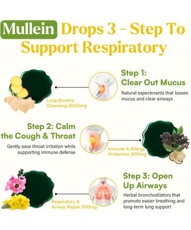 Mullein Drops For Lungs Liposomal 14 In 1 Mullein Leaf Extract For Lungs Mullein Drops with Elderberry Chlorophyll Thyme - for Lung Cleanse Detox Respiratory Immune Health 3 Fl 0Z Mint Flavor 3 Fl Oz (Pack of 1) - Buy Online on GoSupps.com