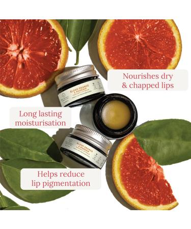 Organic Orange & Rosehip Lip Balm | Nourishing Balm for Dry Chapped Lips | Ecocert Certified Clinically Tested Cruelty-Free Vegan - 5 gm - Buy Online on GoSupps.com