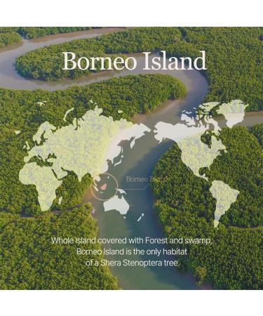 mixsoon Vegan Melting Lip Balm (Clear) 0.14 oz / 4.1g - Buy Online on GoSupps.com