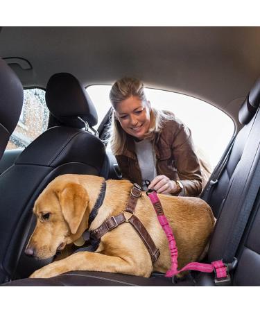 Umi Dog Seat Belt for Car - Adjustable Elastic Bungee Dog Car Harness - Buy Online on GoSupps.com