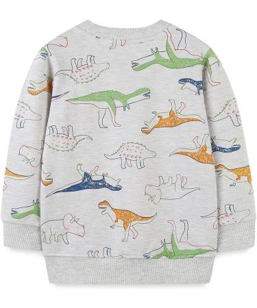 Boys Dinosaur Sweatshirt | Kids Cotton Jumper | Toddler Long Sleeve Pullover | Baby Clothes 5-6 Years - Buy Online on GoSupps.com