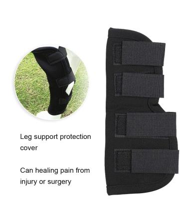 Stability Support Dog Leg Support Neoprene Pet Knee Guard Stabilize Arthritis for Dog Leg Guard(Black S) - Buy Online on GoSupps.com