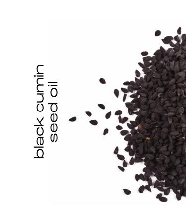 Natural Inspirations Eucalyptus Rosemary Mint Exfoliating Scrub | 6oz Face & Body Exfoliator - International Shipping - Buy Online on GoSupps.com