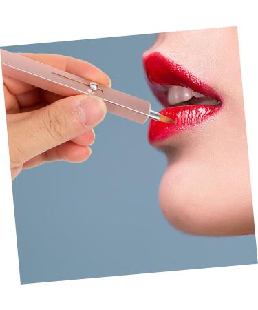 FOMIYES Make up Brush Makeup Lipstick Applicator Lipstick Brush Applicator Makeup Brush for Women Lip Brush for Lipstick Concealer Brush Lip Gloss Artificial Fiber Portable Miss - Buy Online on GoSupps.com