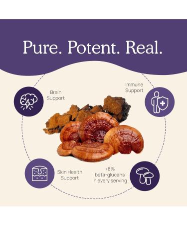Real Mushrooms Vitamin D2 Zinc (120ct) and Reishi 415 (90ct) Bundle with Chaga - Natural Support for Immunity Better Sleep and Relaxation - Vegan Gluten Free Non-GMO Organic Mushroom Extracts - Buy Online on GoSupps.com