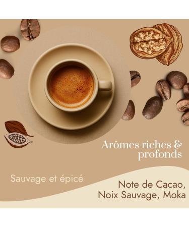 Caf Bonnac Lot de 2 1 kg | Caf Moulu thiopie Djimmah G5 | 100% Arabica Traditionnel | Go t Franc Et Intense | Torr faction Artisanale Fran aise | Id al Machine Cafe Grain 1 kg (Lot de 2) 2 - Buy Online on GoSupps.com