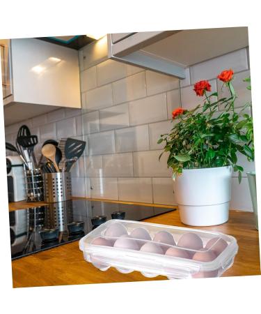 Healeved 2pcs Box Plastic Pallets Containers with Lids Portable Egg Case Mustard With Cover Egg Tray Whitex2pcs 27.5x13cmx2pcs - Buy Online on GoSupps.com