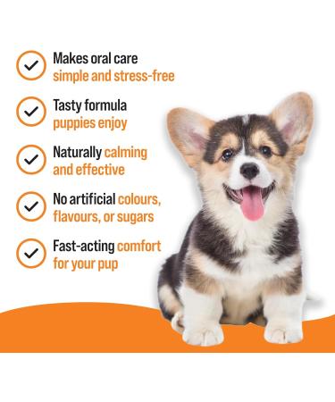 Mark & Chappell Teething Gel for Puppies - 1.75 oz | Soothes Teething Discomfort - Buy Online on GoSupps.com