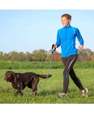 5 ft Strong Dog Leash with Padded Handle & Reflex Seams - Safe for All Dog Sizes - Silver 150x1.2 cm | International Shipping Available - Buy Online on GoSupps.com