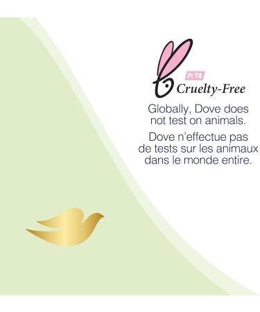 Dove Antiperspirant Stick Powder for 24h protection with 1/4 moisturizers certified Cruelty-Free by PETA 74g - Buy Online on GoSupps.com