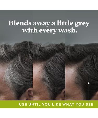 Just for Men Control GX Grey Reducing Shampoo for Blonde & Medium Brown Hair - Buy Online on GoSupps.com