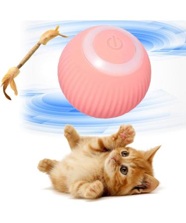 Wloom Power Ball 2.0 Cat Toy Aiveys Cat Ball Aiveys Smart Ball Cat Zombie Balls for Cats Playtime Gertar Cat Toy (Blue) - Buy Online on GoSupps.com