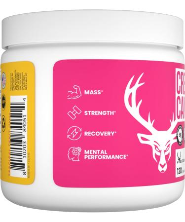 Bucked Up Creatine Candy Tropical Blast | Micronized Creatine Monohydrate | 120 Chewable Tablets 24 Servings | Fizzy Creatine No Water Needed | Non GMO Gluten Free Third Party Tested - Buy Online on GoSupps.com