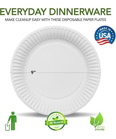 Stock Your Home 9-Inch Uncoated Paper Plates - 500 Count White Disposable Plates - Buy Online on GoSupps.com