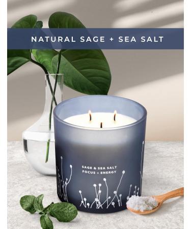 Buy White Sage Sea Salt 3 Wick Candle - 14.5 oz Soy Aromatherapy Candle for Home | Cleansing Energy Sage Scented Candle for Women & Men - Buy Online on GoSupps.com