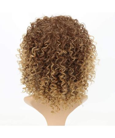 Buy Colourfulpanda Kinky Curly Afro Wig - Brown Blond Brazilian Synthetic Hair for Women | Short Ponytail Wigs for Black Women - Buy Online on GoSupps.com
