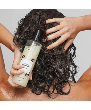 SEEN Fragrance-Free Shampoo 8.6 Fl. Oz - Non-Comedogenic & Sulfate-Free Formula for Sensitive Skin - Dermatologist-Developed for Eczema & Acne Prone Skin - Buy Online on GoSupps.com