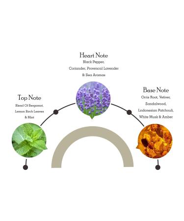 Jaguar Classic Motion Eau de Toilette Spray for Men 3.4 Ounce - Buy Online on GoSupps.com