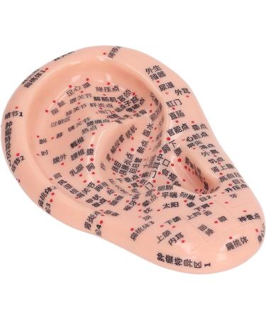 Silicone Ear Acupuncture Model for Laboratory Study | International Shipping Available - Buy Online on GoSupps.com