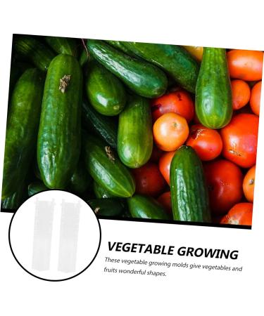 CIYODO 2pcs Melon and Fruit Shaping Mold Vegetables Transparent Cucumber Shaping Mold Cucumber Mold Shaper - Buy Online on GoSupps.com