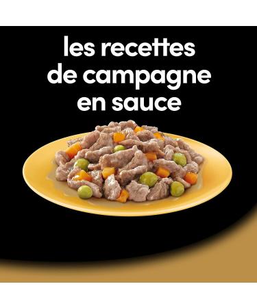 CESAR Dog Meals - 24 Trays (Pack of 3 Packs 8x150g) - Dog Food in Sauce - Beef / Chicken / Lamb / Turkey - Complete & Balanced Food with Natural Ingredients - Buy Online on GoSupps.com