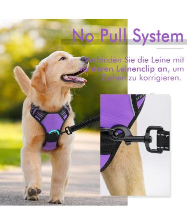 Rabbitgoo Medium Dog Harness - No Pull Adjustable Breathable with Reflex Stripes - Safe Control for Large Dogs - Purple (1 Pack) - Buy Online on GoSupps.com