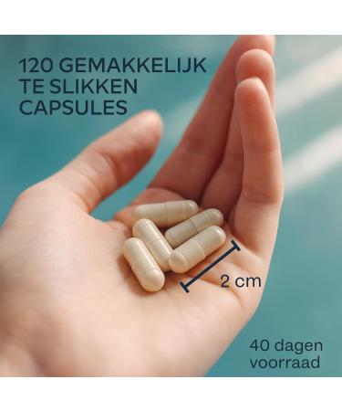 AAVALABS Marine collagen capsules with magnesium & hyaluronic acid Marine collagen with hyaluronic acid & pure collagen peptides 120 Marine Collagen capsules GMO gluten & lactose free - Buy Online on GoSupps.com