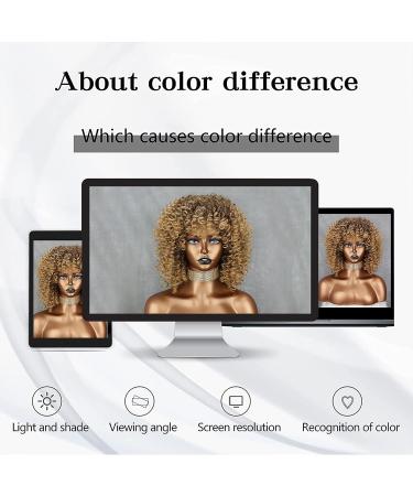 Xinran 14 Blonde Curly Afro Wig for Black Women - Brown to Blonde Mix - Synthetic 70s Kinky Afro Wig - Buy Online on GoSupps.com