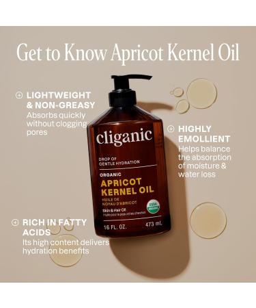 Cliganic Organic Apricot Oil 100% Pure (16oz) - For Skin Hair & Face | Natural Cold Pressed Unrefined 16 Fl Oz (Pack of 1) - Buy Online on GoSupps.com