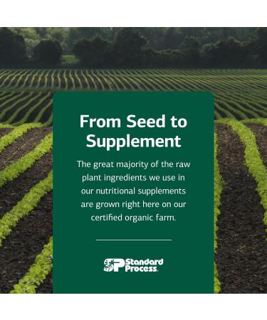 Standard Process Ligaplex II - Joint & Bone Support - Manganese Supplement with Vitamin B12 A & D - Skeletal System & Joint Support Supplement - 150 Capsules 150 Count (Pack of 1) - Buy Online on GoSupps.com