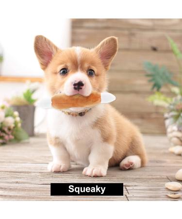 Cute Plush Dog Squeaky Toys 12PCS for Small Medium Puppies - Chew Toys Combo - Buy Online on GoSupps.com