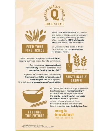 Quaker Oats So Simple Banana 10 x 348 g - Buy Online on GoSupps.com