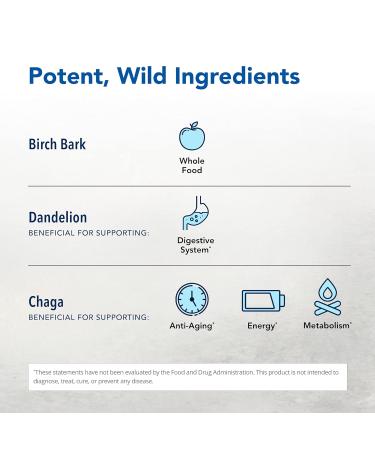 North American Herb & Spice LivaLatte - 3.5 oz. - Chaga Maca & Birch Bark Drink Mix - Healthy Liver Gallbladder & Kidney Function Digestive Support Optimal Health - Non-GMO - 36 Servings - Buy Online on GoSupps.com
