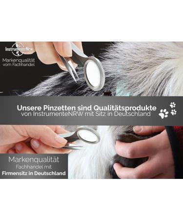 Premium Stainless Steel Tweezers with Magnifying Glass Point - Precision Eyebrow & Craft Tool for International Shipping - Buy Online on GoSupps.com