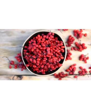  mynatura Mynatura Dried Barberry I No Additives I Dried Fruits I Dried Berries I Vitamins I Muesli I Pastry I Snack I In a bag (2 kg) - Buy Online on GoSupps.com