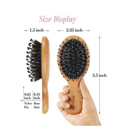 Pocket Mini Travel Boar Bristle Hairbrush for All Hair Types - Smoothing, Detangling, and Adding Shine - Small Size for Men, Women, and Kids - Pack of 1 - Buy Online on GoSupps.com