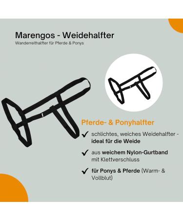 Marengos Weide Halver | Halter for Horses & Ponies | Soft Belt Handlebar for Pasture | Adjustable Sizes | Black Thoroughbred - Buy Online on GoSupps.com