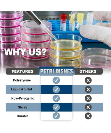 Can Food Vinyl Powder Free Gloves Small Size Transparent Powder Free Latex Free Disposable Non-Sterile Cleaning Cooking Hair Coloring Dish Washing and Protective Gloves - Buy Online on GoSupps.com