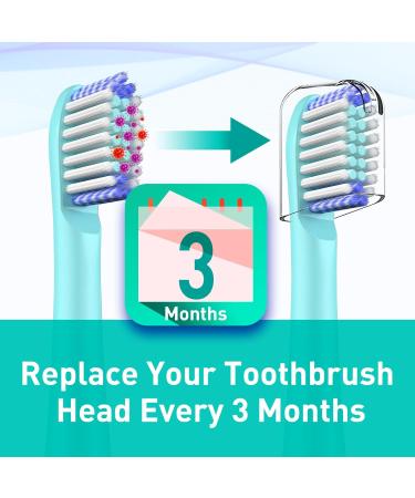 Toothbrush Replacement Heads Compatible with Colgate Hum Electric | 8 Pack Green Brush Heads for Colgate 360 Power Charcoal Deep Clean - Buy Online on GoSupps.com