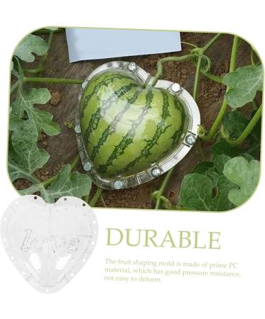 Gadpiparty Plant Vegetables Fruit for Outdoor Vegetable Pumpkin Watermelon - Buy Online on GoSupps.com