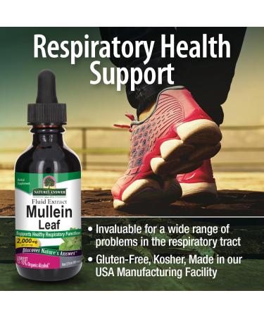 Natures Answer Mullein Leaf 2 Oz - Buy Online on GoSupps.com
