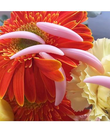 Libeauty Lash Lift Silicone Shield for Lower Eyelash - Pink 5 Pairs Shields for Lower Eyelash - Pink - Buy Online on GoSupps.com